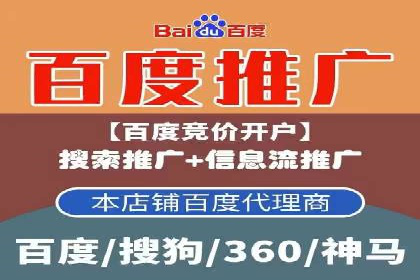 某电商平台sem竞价运营的突破与挑战